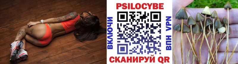 Галлюциногенные грибы Cubensis  Южа 